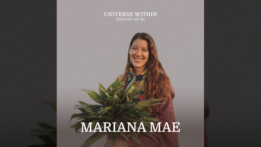 Universe Within Podcast